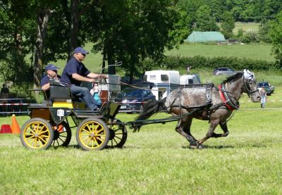 Foto des Albums: Fahrturnier Hilders 2017