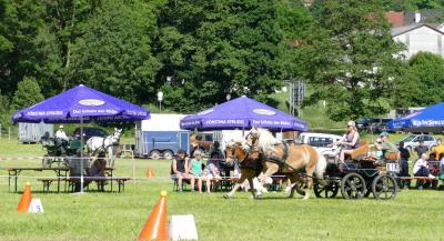 Foto des Albums: Fahrturnier Hilders 2017