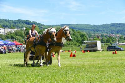 Foto des Albums: Fahrturnier Hilders 2017