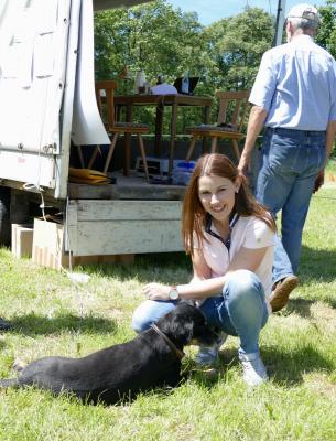 Foto des Albums: Fahrturnier Hilders 2017