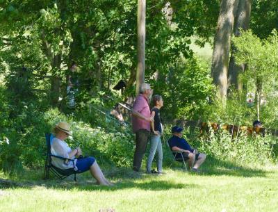Foto des Albums: Fahrturnier Hilders 2017