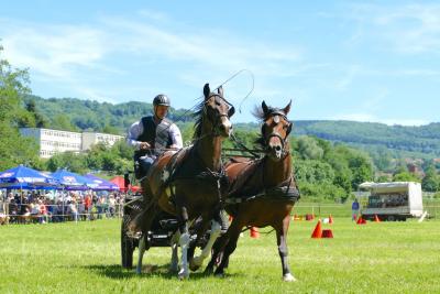 Foto des Albums: Fahrturnier Hilders 2017