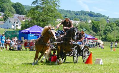 Foto des Albums: Fahrturnier Hilders 2017