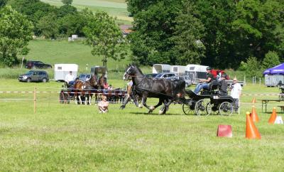 Foto des Albums: Fahrturnier Hilders 2017