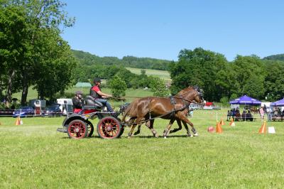 Foto des Albums: Fahrturnier Hilders 2017