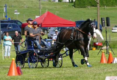 Foto des Albums: Fahrturnier Hilders 2017