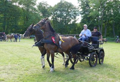 Foto des Albums: Fahrturnier Hilders 2017