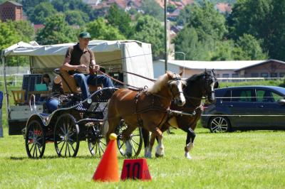 Foto des Albums: Fahrturnier Hilders 2017