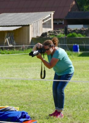 Foto des Albums: Fahrturnier Hilders 2017