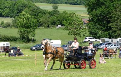 Foto des Albums: Fahrturnier Hilders 2017