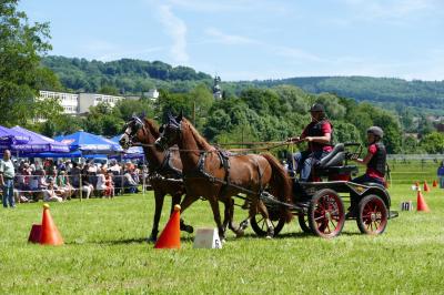 Foto des Albums: Fahrturnier Hilders 2017