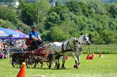 Foto des Albums: Fahrturnier Hilders 2017