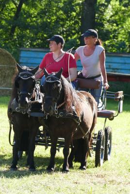 Foto des Albums: Fahrturnier Hilders 2017
