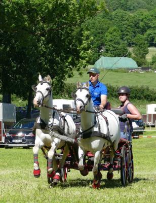 Foto des Albums: Fahrturnier Hilders 2017