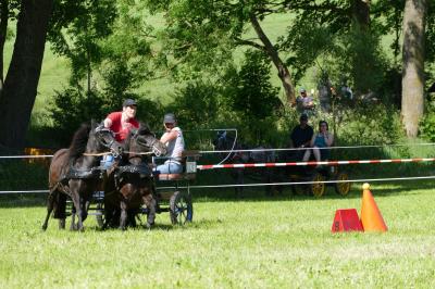 Foto des Albums: Fahrturnier Hilders 2017