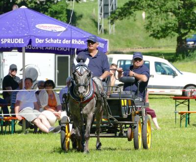 Foto des Albums: Fahrturnier Hilders 2017