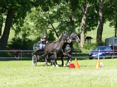 Foto des Albums: Fahrturnier Hilders 2017