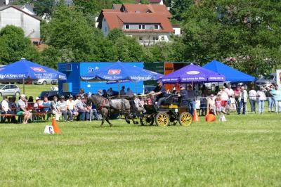 Foto des Albums: Fahrturnier Hilders 2017