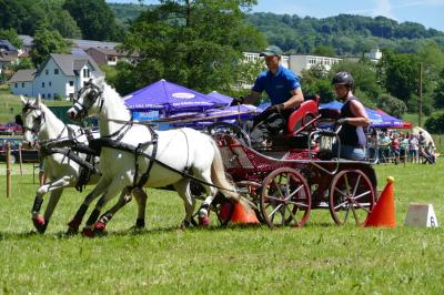 Foto des Albums: Fahrturnier Hilders 2017