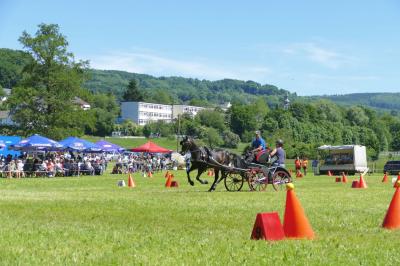 Foto des Albums: Fahrturnier Hilders 2017
