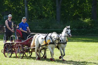 Foto des Albums: Fahrturnier Hilders 2017