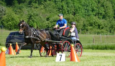 Foto des Albums: Fahrturnier Hilders 2017