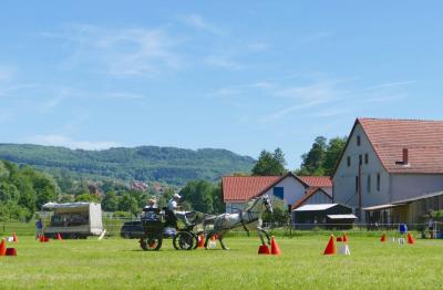 Foto des Albums: Fahrturnier Hilders 2017