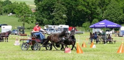 Foto des Albums: Fahrturnier Hilders 2017