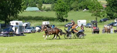 Foto des Albums: Fahrturnier Hilders 2017