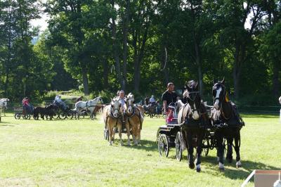 Foto des Albums: Fahrturnier Hilders 2017