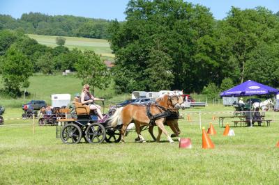 Foto des Albums: Fahrturnier Hilders 2017
