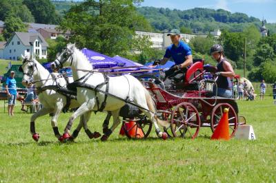 Foto des Albums: Fahrturnier Hilders 2017