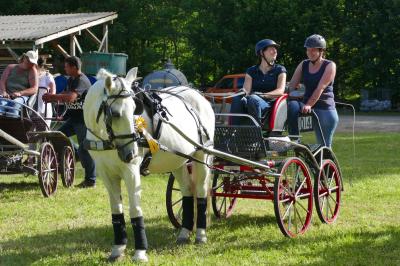 Foto des Albums: Fahrturnier Hilders 2017