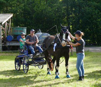 Foto des Albums: Fahrturnier Hilders 2017