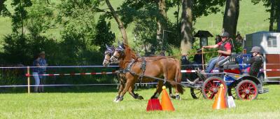 Foto des Albums: Fahrturnier Hilders 2017