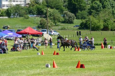 Foto des Albums: Fahrturnier Hilders 2017
