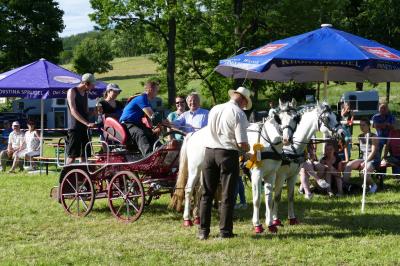Foto des Albums: Fahrturnier Hilders 2017