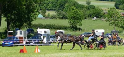 Foto des Albums: Fahrturnier Hilders 2017