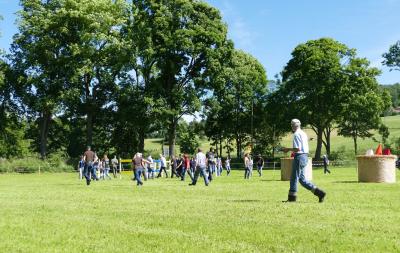Foto des Albums: Fahrturnier Hilders 2017