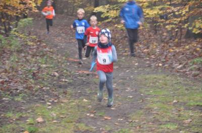 Foto des Albums: Torgelower Crosslauf