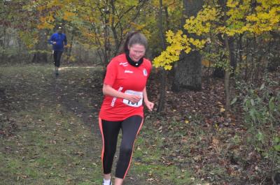 Foto des Albums: Torgelower Crosslauf