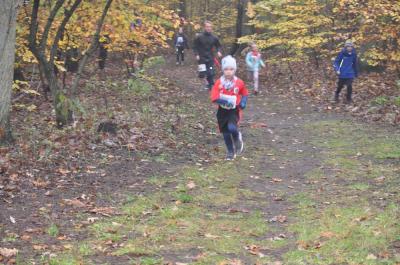 Foto des Albums: Torgelower Crosslauf