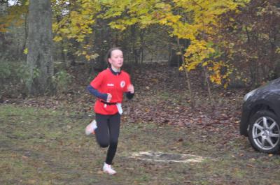 Foto des Albums: Torgelower Crosslauf