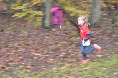 Foto des Albums: Torgelower Crosslauf