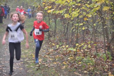 Foto des Albums: Torgelower Crosslauf