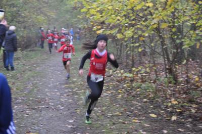 Foto des Albums: Torgelower Crosslauf