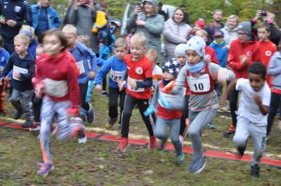 Foto des Albums: Torgelower Crosslauf