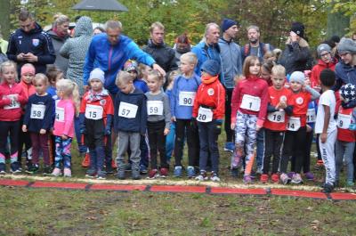 Foto des Albums: Torgelower Crosslauf