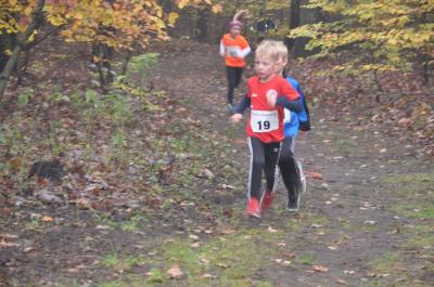 Foto des Albums: Torgelower Crosslauf