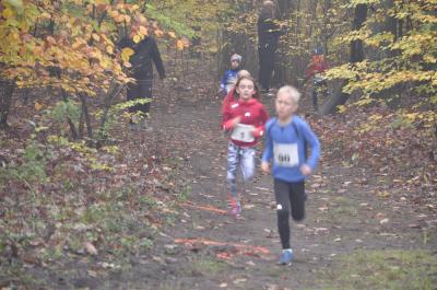 Foto des Albums: Torgelower Crosslauf